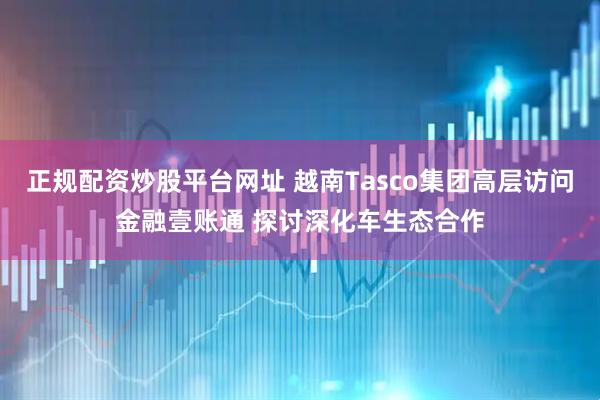 正规配资炒股平台网址 越南Tasco集团高层访问金融壹账通 探讨深化车生态合作