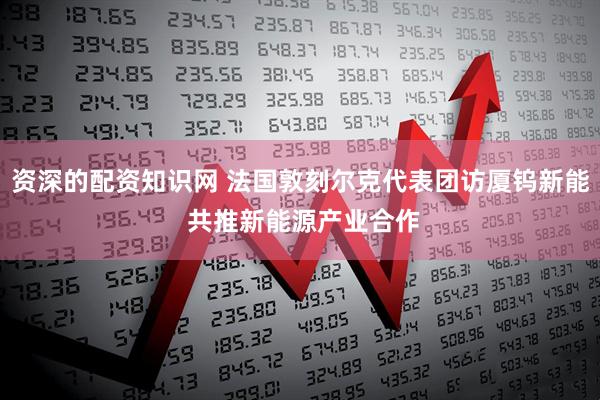 资深的配资知识网 法国敦刻尔克代表团访厦钨新能 共推新能源产业合作