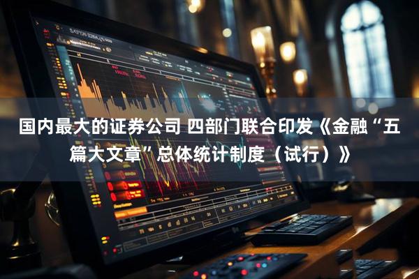 国内最大的证券公司 四部门联合印发《金融“五篇大文章”总体统计制度（试行）》